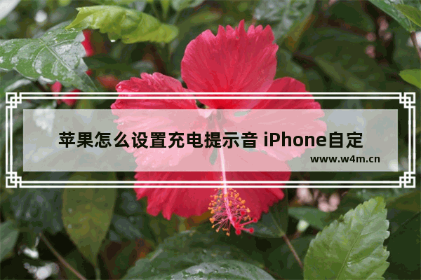 苹果怎么设置充电提示音 iPhone自定义充电提示音教程