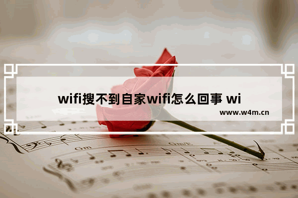 wifi搜不到自家wifi怎么回事 win10找不到wifi解决方法