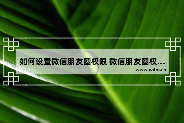 如何设置微信朋友圈权限 微信朋友圈权限设置的方法