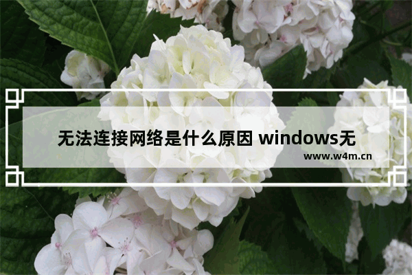 无法连接网络是什么原因 windows无法连接到网络怎么解决