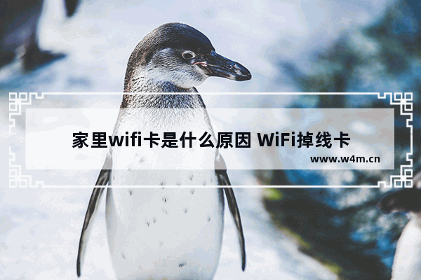 家里wifi卡是什么原因 WiFi掉线卡顿的原因