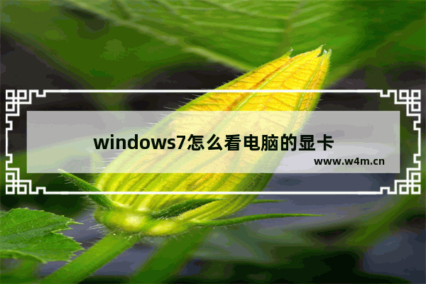 windows7怎么看电脑的显卡