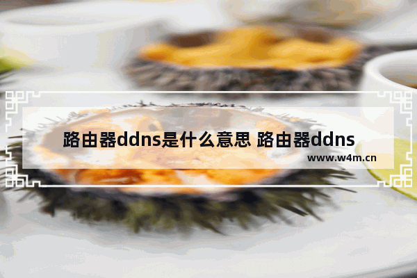 路由器ddns是什么意思 路由器ddns如何使用