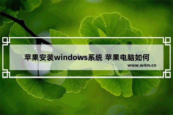 苹果安装windows系统 苹果电脑如何安装win系统