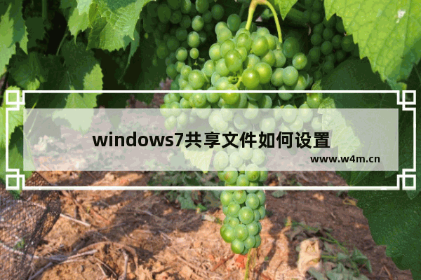 windows7共享文件如何设置