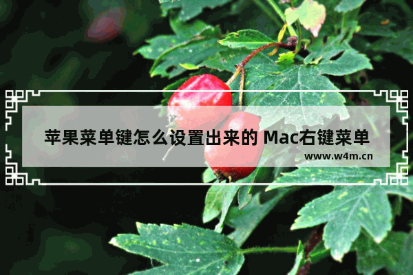 苹果菜单键怎么设置出来的 Mac右键菜单的设置方法