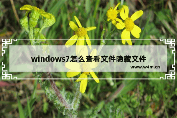 windows7怎么查看文件隐藏文件