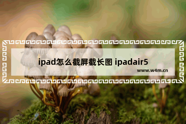 ipad怎么截屏截长图 ipadair5截屏的简单方法