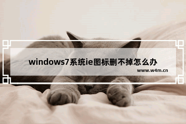 windows7系统ie图标删不掉怎么办