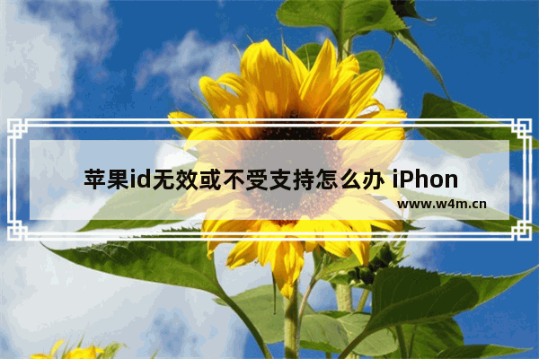 苹果id无效或不受支持怎么办 iPhone面容ID失效解决方法