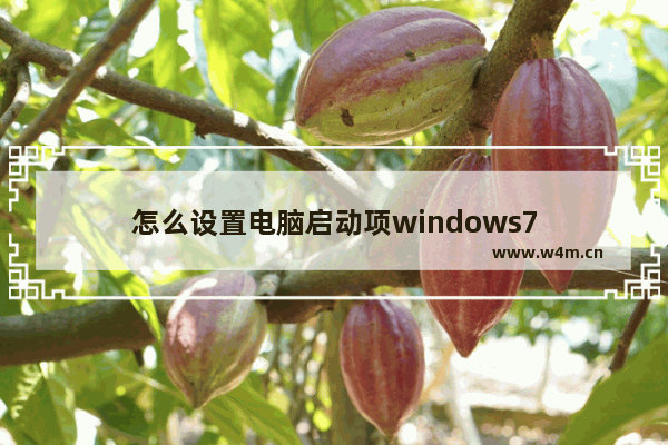 怎么设置电脑启动项windows7