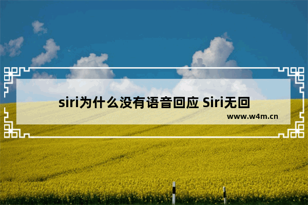 siri为什么没有语音回应 Siri无回应原因及解决方法