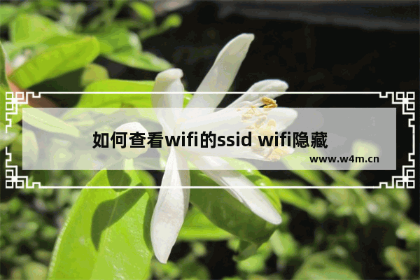 如何查看wifi的ssid wifi隐藏ssid的打开方法