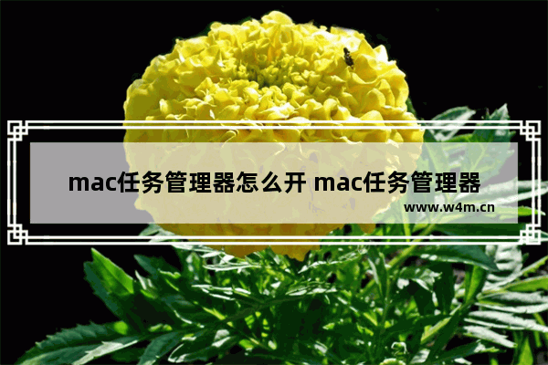 mac任务管理器怎么开 mac任务管理器打开方法