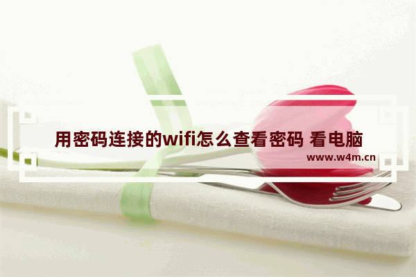 用密码连接的wifi怎么查看密码 看电脑连接过的wifi密码的方法