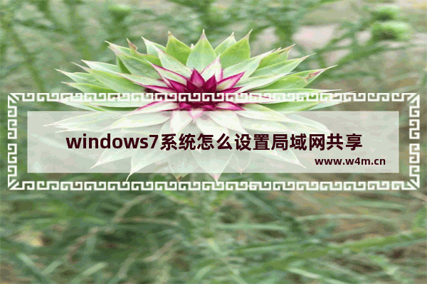 windows7系统怎么设置局域网共享