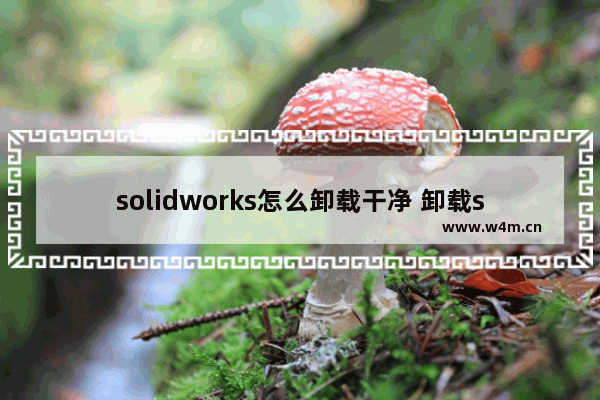 solidworks怎么卸载干净 卸载solidworks的方法