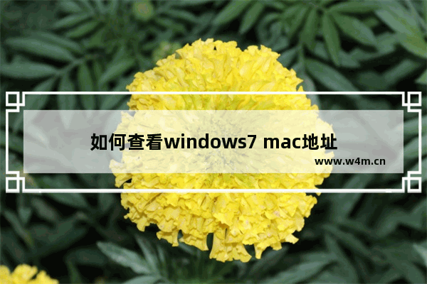 如何查看windows7 mac地址