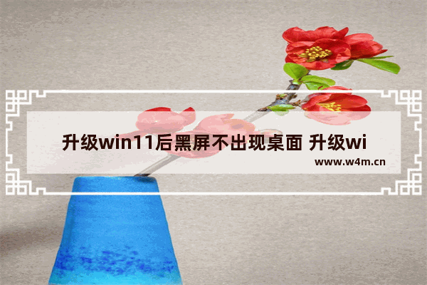 升级win11后黑屏不出现桌面 升级win11后蓝屏黑屏解决方法