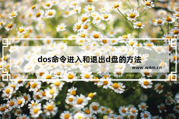 dos命令进入和退出d盘的方法