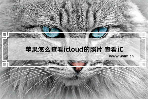 苹果怎么查看icloud的照片 查看iCloud储存照片的方法