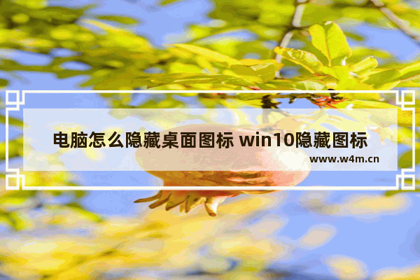 电脑怎么隐藏桌面图标 win10隐藏图标操作方法