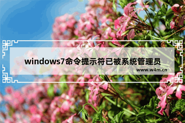 windows7命令提示符已被系统管理员停用