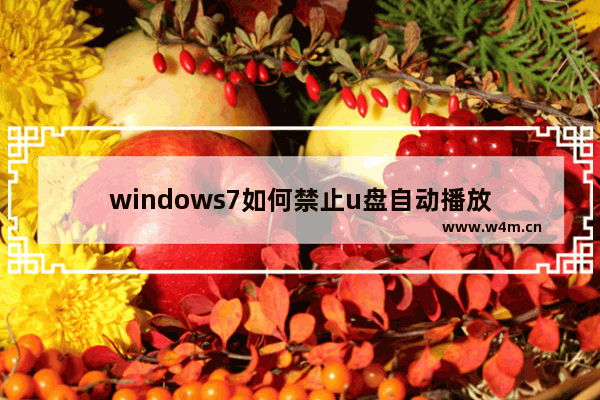 windows7如何禁止u盘自动播放