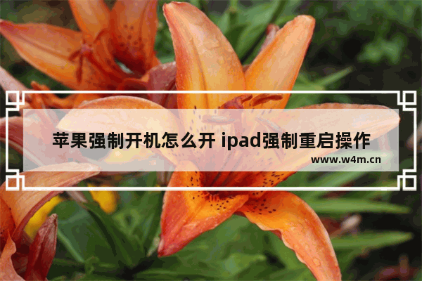 苹果强制开机怎么开 ipad强制重启操作方法