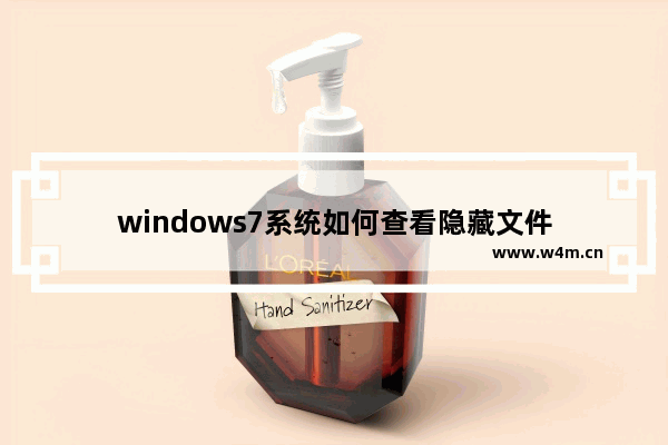 windows7系统如何查看隐藏文件