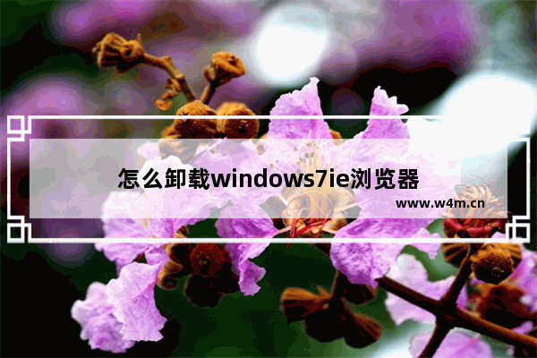 怎么卸载windows7ie浏览器