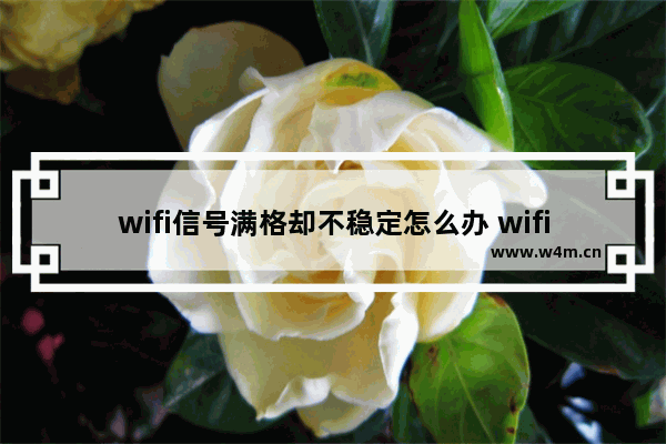 wifi信号满格却不稳定怎么办 wifi信号满格网速很差的原因