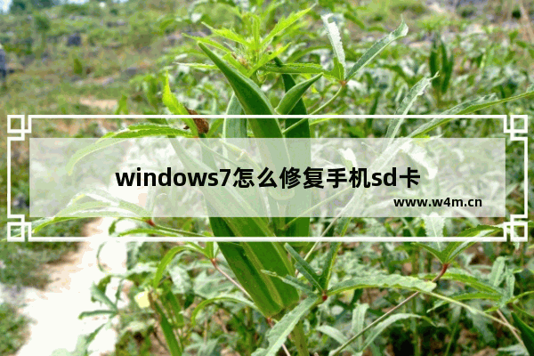 windows7怎么修复手机sd卡