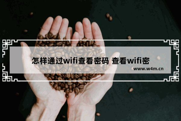 怎样通过wifi查看密码 查看wifi密码的方法