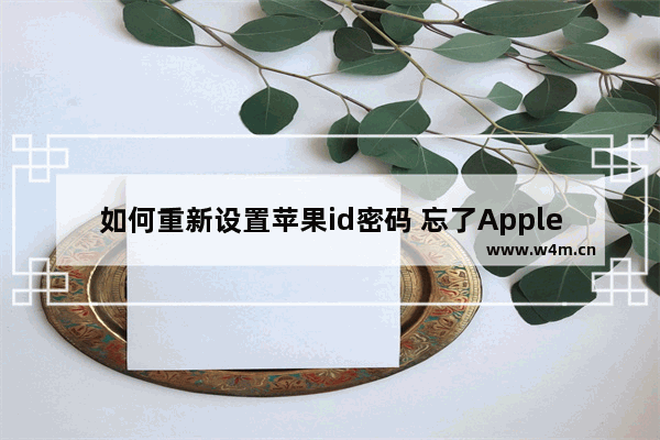 如何重新设置苹果id密码 忘了AppleID密码的重置方法