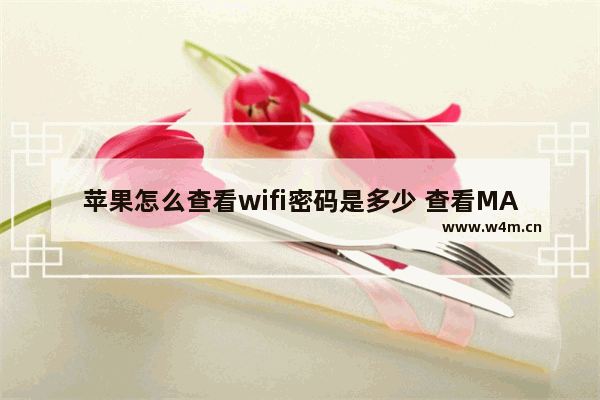 苹果怎么查看wifi密码是多少 查看MAC的WIFI密码的方法