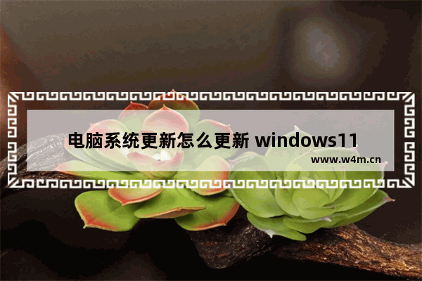 电脑系统更新怎么更新 windows11系统升级方法