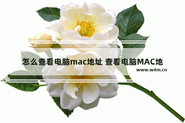 怎么查看电脑mac地址 查看电脑MAC地址的方法