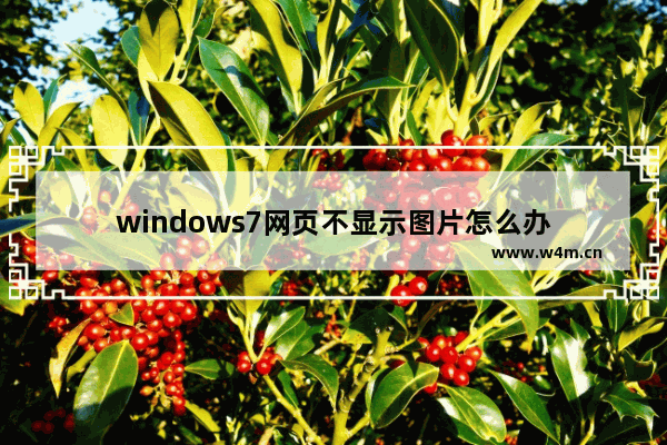 windows7网页不显示图片怎么办