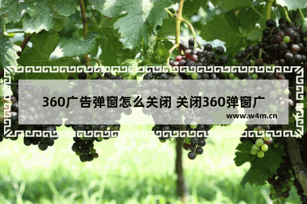 360广告弹窗怎么关闭 关闭360弹窗广告的方法