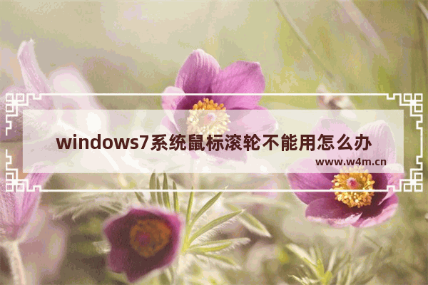 windows7系统鼠标滚轮不能用怎么办