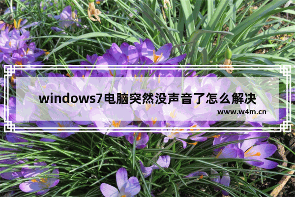 windows7电脑突然没声音了怎么解决