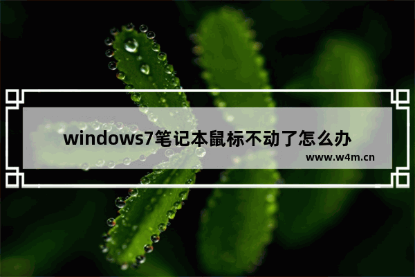 windows7笔记本鼠标不动了怎么办