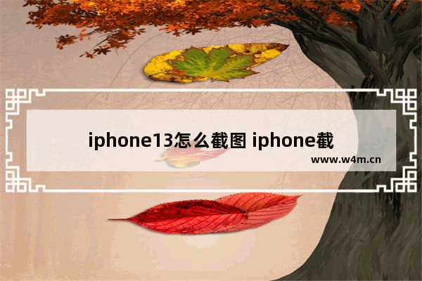 iphone13怎么截图 iphone截图方法教程