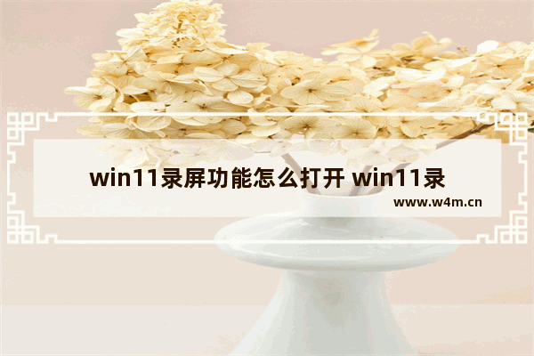 win11录屏功能怎么打开 win11录屏简单的方法