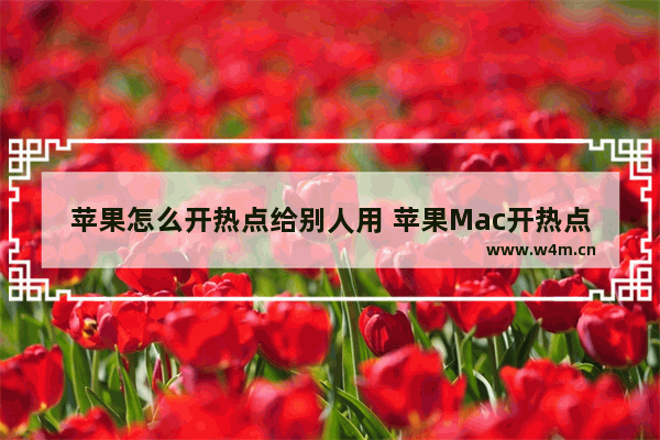 苹果怎么开热点给别人用 苹果Mac开热点的方法