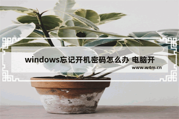 windows忘记开机密码怎么办 电脑开机密码忘记的解决方法