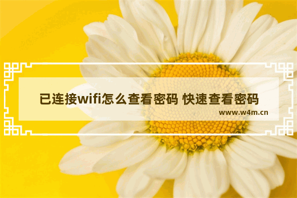 已连接wifi怎么查看密码 快速查看密码的方法