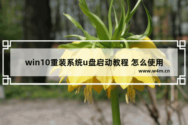 win10重装系统u盘启动教程 怎么使用u启动重装win10系统