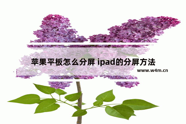 苹果平板怎么分屏 ipad的分屏方法